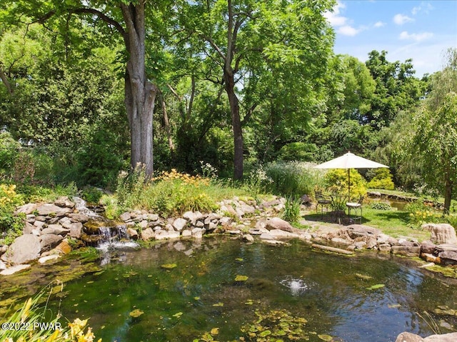 1118 Belvidere Corner Rd, Upper Mount Bethel, PA 18343 - view of yard
