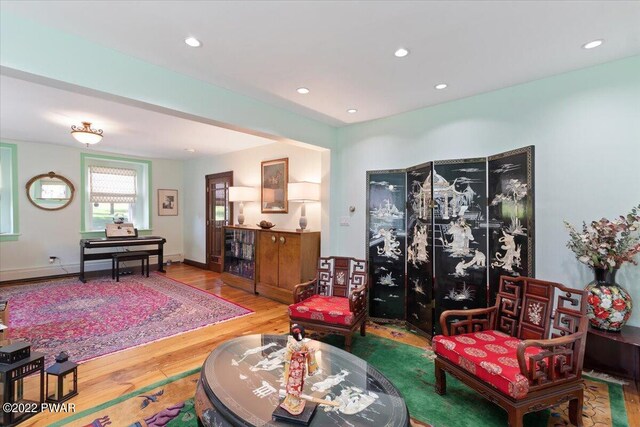 living room featuring hardwood / wood-style flooring