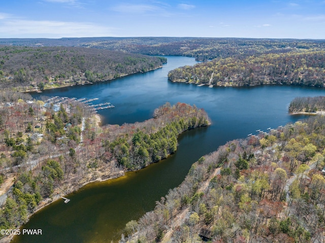 bird's eye view featuring a forest view and a water view