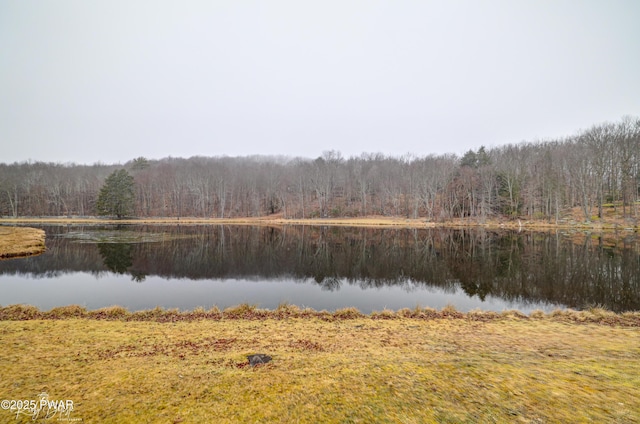 water view with a wooded view