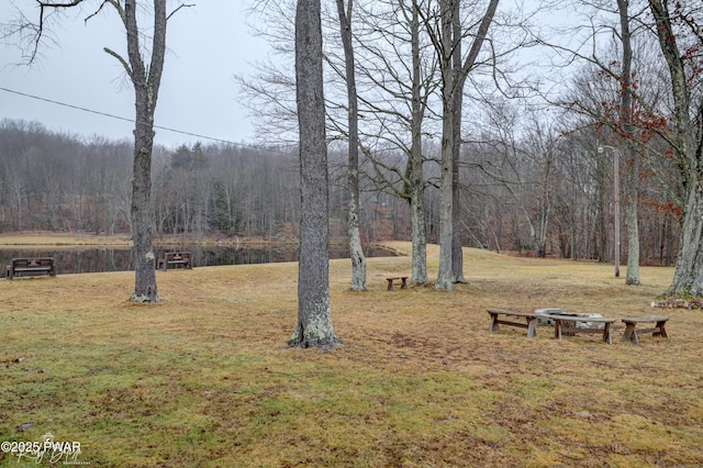 view of yard with a wooded view