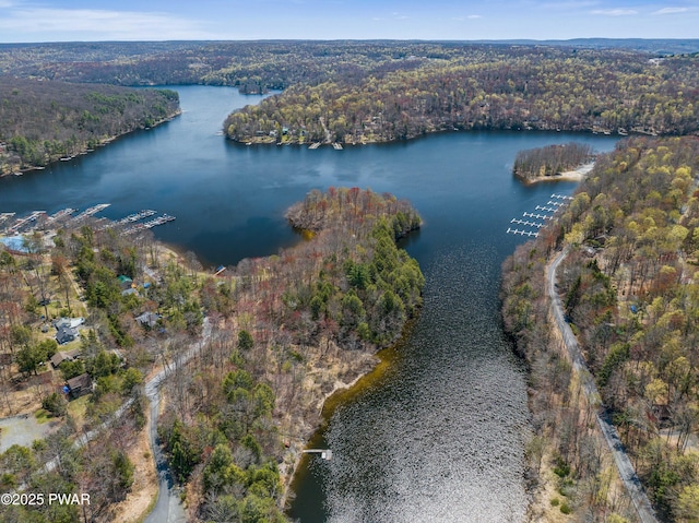 birds eye view of property with a water view and a wooded view