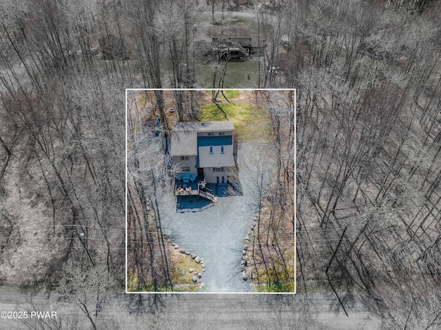 bird's eye view