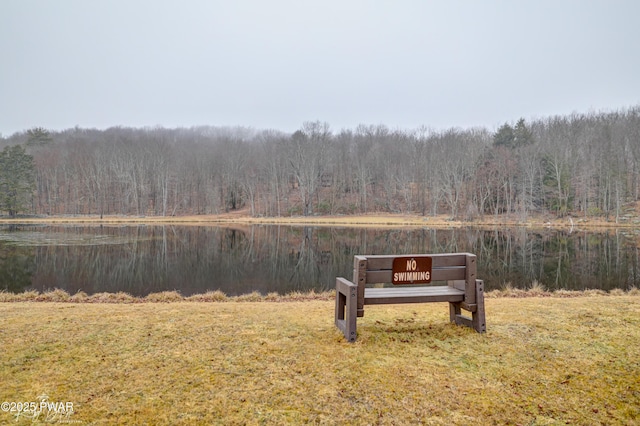 view of yard featuring a water view and a forest view