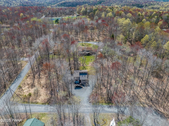 bird's eye view with a forest view