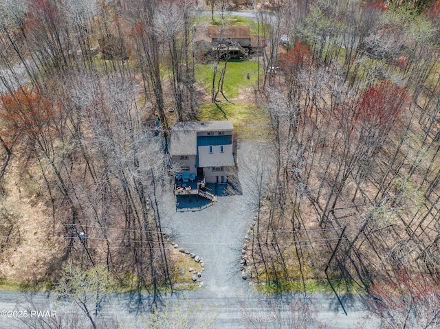 bird's eye view
