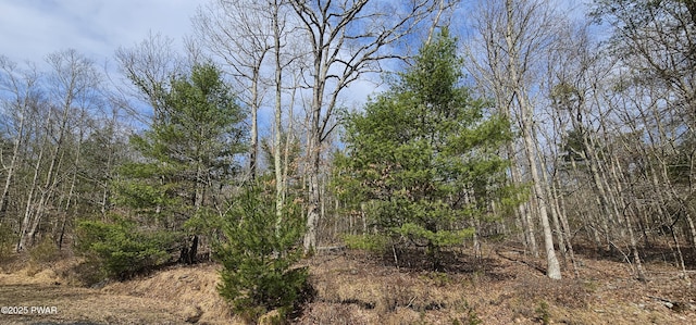 LOT20.22 Woods Rd, Barryville, NY 12719