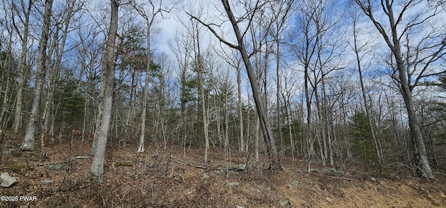 LOT20.22 Woods Rd, Barryville, NY 12719