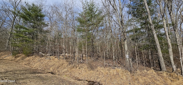 LOT20.22 Woods Rd, Barryville, NY 12719