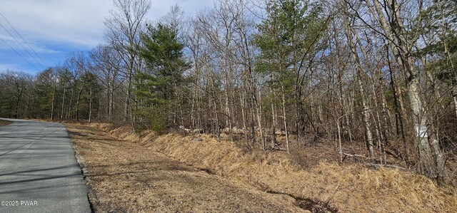 LOT20.22 Woods Rd, Barryville, NY 12719