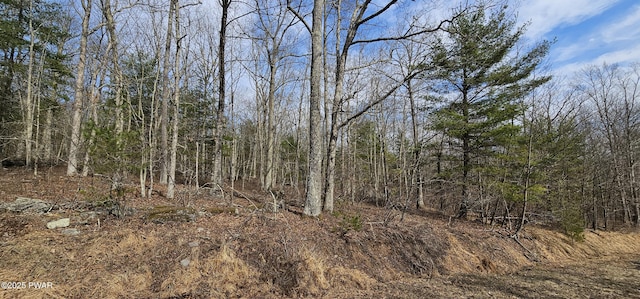 LOT20.22 Woods Rd, Barryville, NY 12719