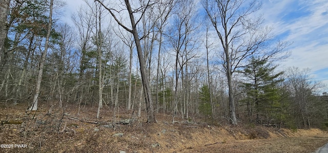 LOT20.22 Woods Rd, Barryville, NY 12719