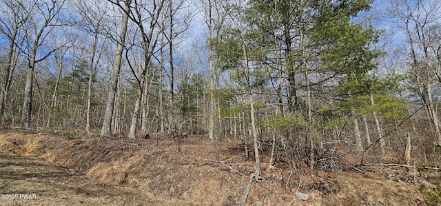 LOT20.22 Woods Rd, Barryville, NY 12719