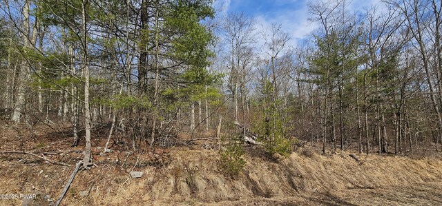 LOT20.22 Woods Rd, Barryville, NY 12719