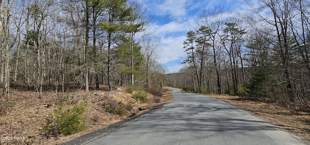 LOT20.22 Woods Rd, Barryville, NY 12719