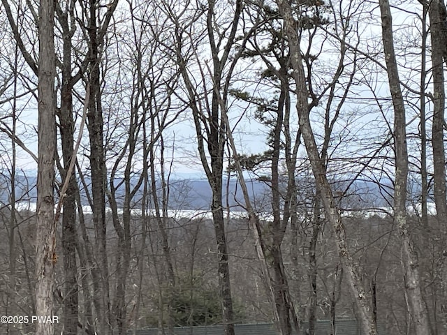 128 Copper Mountain Dr, Tafton, PA 18464 - water view with a forest