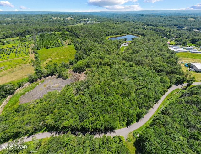 28 Rose Rd, Lake Ariel, PA 18436 - photo 107