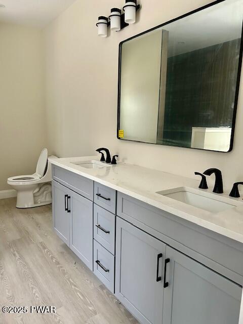 bathroom featuring toilet, vanity, and wood-type flooring