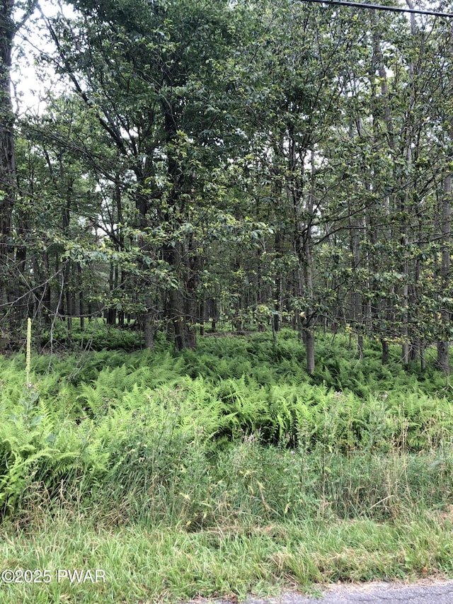 10 Mohawk Trl, Gouldsboro, PA 18424 - photo 6