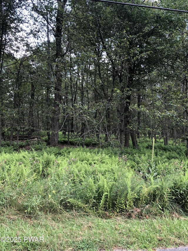 10 Mohawk Trl, Gouldsboro, PA 18424 - photo 4