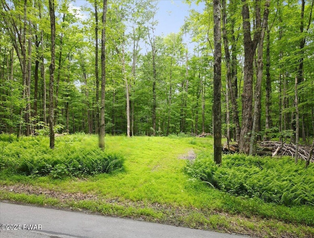 Elk Lake Dr, Waymart PA, 18472 land for sale