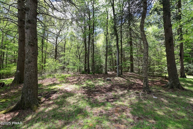 146 Country Club Dr, Thornhurst, PA 18424 - view of woods
