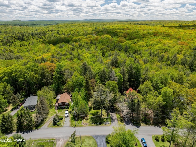 146 Country Club Dr, Thornhurst, PA 18424 - drone / aerial view of a forest