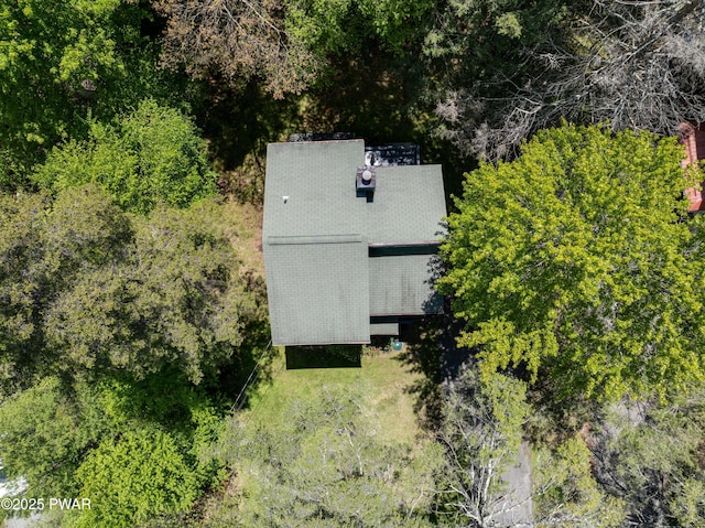 146 Country Club Dr, Thornhurst, PA 18424 - view from above of property