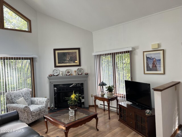 living room featuring a high end fireplace, a baseboard radiator, lofted ceiling, and hardwood / wood-style flooring