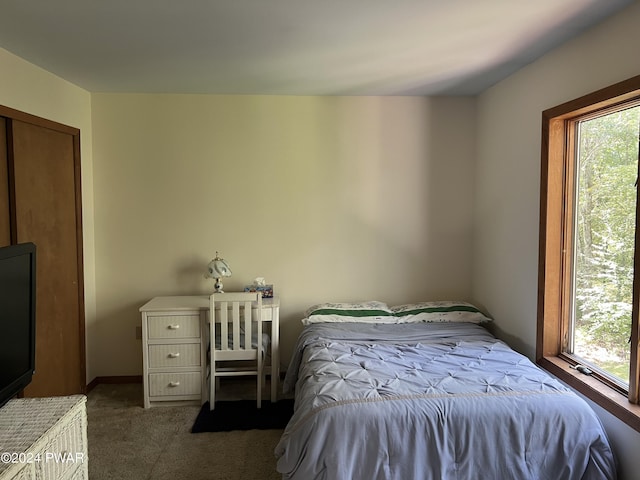 view of carpeted bedroom