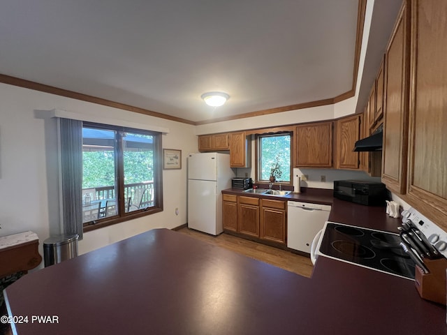 kitchen featuring sink, light wood-type flooring, white appliances, exhaust hood, and ornamental molding