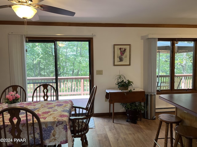 dining room featuring ceiling fan, light hardwood / wood-style flooring, crown molding, and a baseboard radiator