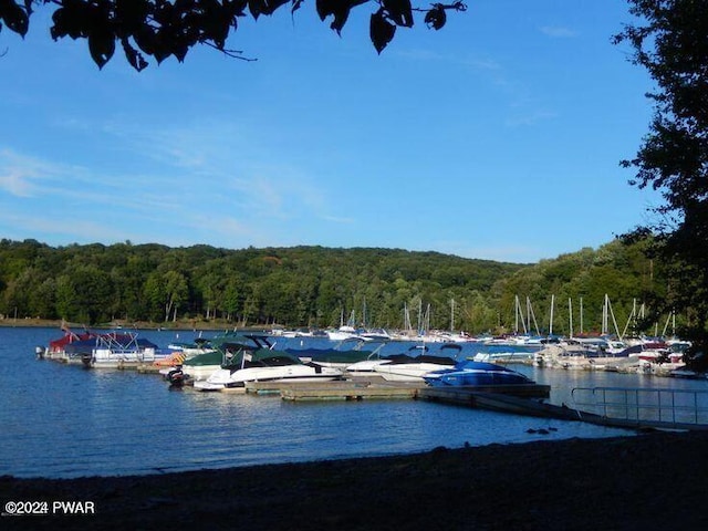 view of water feature featuring a dock