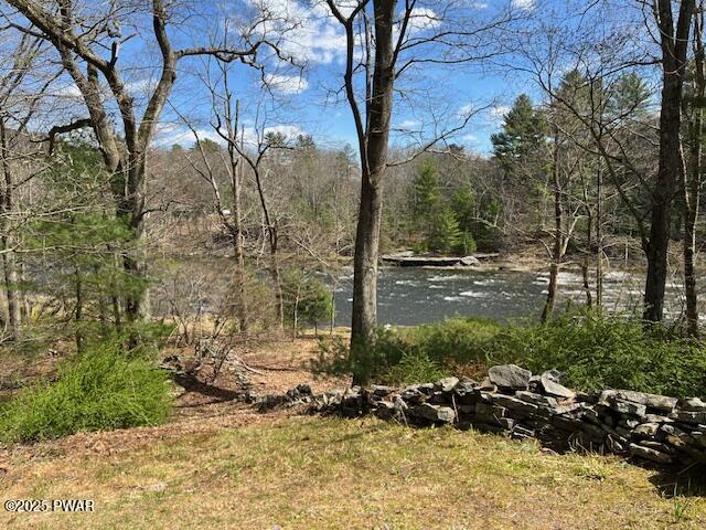 241 Lcpl Jacob Beisel Rd, Lackawaxen, PA 18435 - view of yard