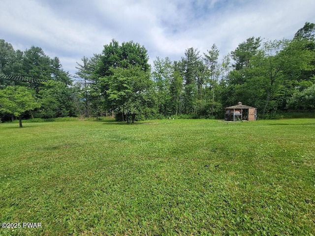 view of yard with a shed and an outbuilding