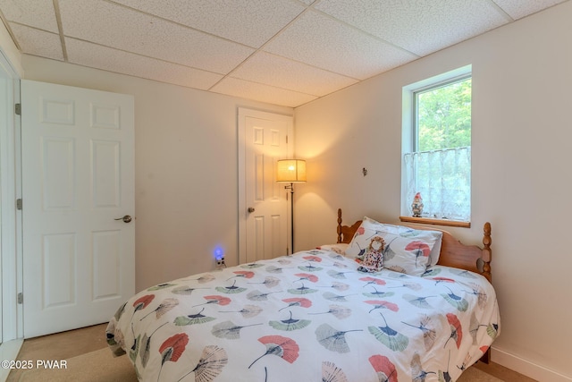 113 Jacobs Ladder Rd, Starrucca, PA 18462 - carpeted bedroom with a paneled ceiling