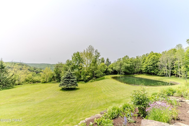 113 Jacobs Ladder Rd, Starrucca, PA 18462 - view of green lawn with a water view and a forest view