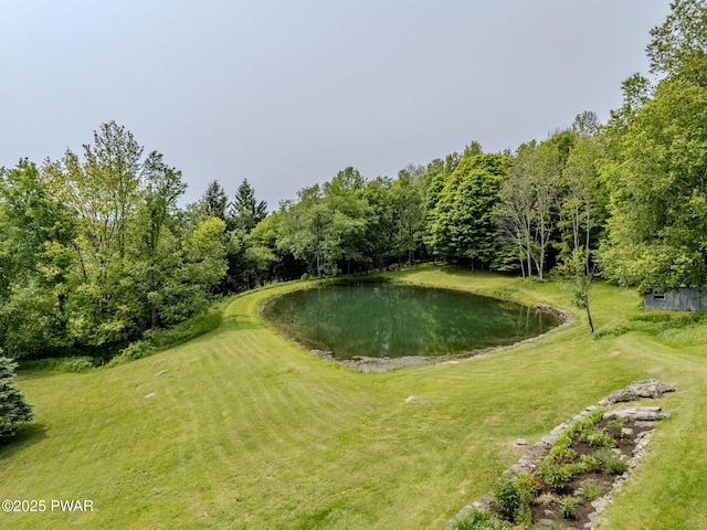 113 Jacobs Ladder Rd, Starrucca, PA 18462 - view of green lawn featuring a water view