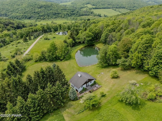 113 Jacobs Ladder Rd, Starrucca, PA 18462 - view of subject property featuring a nearby body of water and a forest