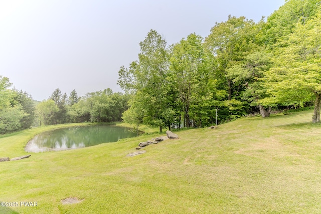 113 Jacobs Ladder Rd, Starrucca, PA 18462 - view of green lawn with a water view