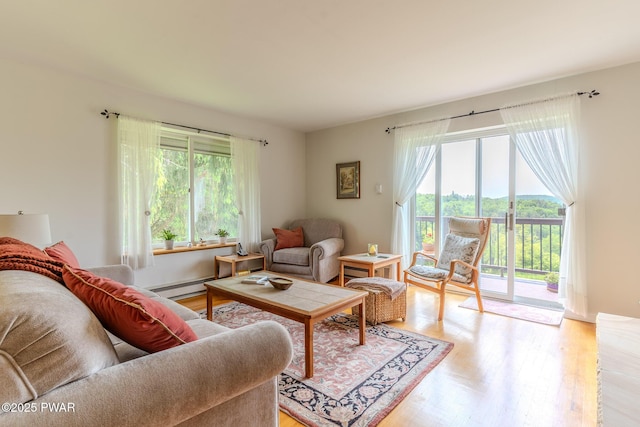 113 Jacobs Ladder Rd, Starrucca, PA 18462 - living area with healthy amount of natural light, light wood finished floors, and a baseboard heating unit