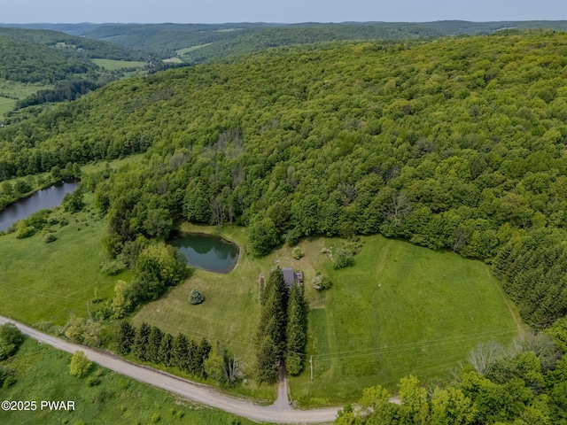 113 Jacobs Ladder Rd, Starrucca, PA 18462 - aerial overview of property's location featuring a nearby body of water and a forest
