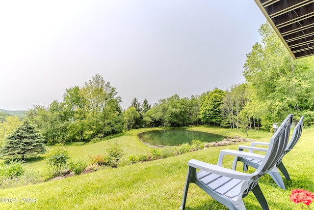 113 Jacobs Ladder Rd, Starrucca, PA 18462 - view of grassy yard featuring a water view