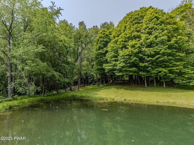 113 Jacobs Ladder Rd, Starrucca, PA 18462 - water view with a heavily wooded area