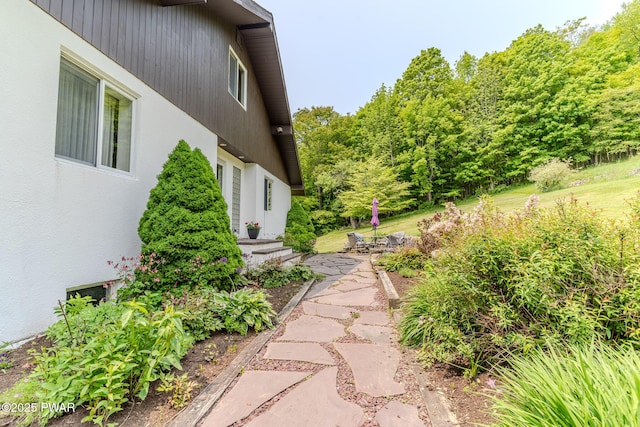 113 Jacobs Ladder Rd, Starrucca, PA 18462 - view of yard