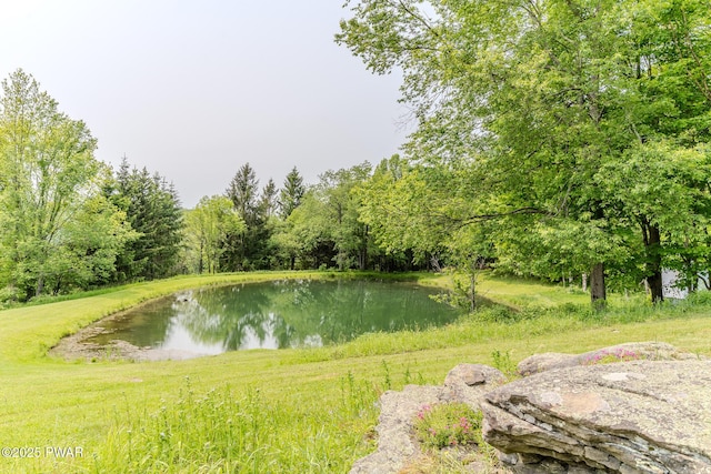 113 Jacobs Ladder Rd, Starrucca, PA 18462 - water view