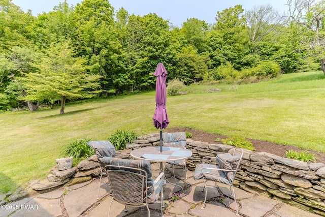 113 Jacobs Ladder Rd, Starrucca, PA 18462 - view of green lawn with a patio area