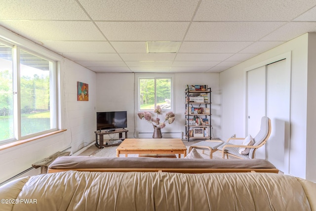 113 Jacobs Ladder Rd, Starrucca, PA 18462 - living room with a drop ceiling and concrete block wall
