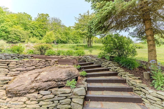 113 Jacobs Ladder Rd, Starrucca, PA 18462 - view of yard