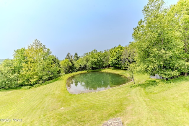 113 Jacobs Ladder Rd, Starrucca, PA 18462 - water view
